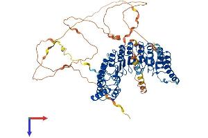 AlphaFold protein structure predicition of Human Recombinant PPP1R37 Protein, UniprotID O75864