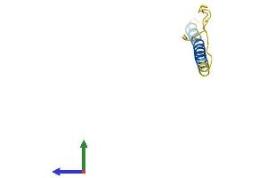 AlphaFold protein structure predicition of Mouse Recombinant Adig Protein, UniprotID Q8R400