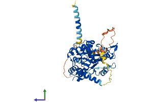 AlphaFold protein structure predicition of Mouse Recombinant Chst12 Protein, UniprotID Q99LL3