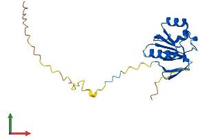 AlphaFold protein structure predicition of Human Recombinant NDUFAF3 Protein, UniprotID Q9BU61