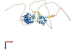 AlphaFold protein structure predicition of Mouse Recombinant Ets2 Protein, UniprotID P15037