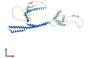 AlphaFold protein structure predicition of Mouse Recombinant Tada3 Protein, UniprotID Q8R0L9