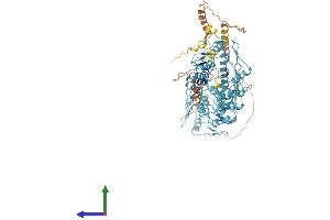 AlphaFold protein structure predicition of Human Recombinant ZNF224 Protein, UniprotID Q9NZL3