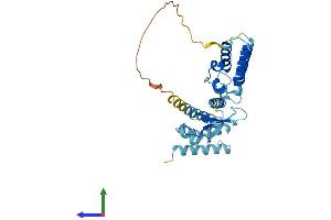AlphaFold protein structure predicition of Human Recombinant TCEA2 Protein, UniprotID Q15560