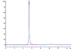 The purity of Human LIF R is greater than 95 % as determined by SEC-HPLC.