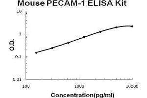 Mouse PECAM-1/CD31 PicoKine ELISA Kit standard curve (CD31 Kit ELISA)