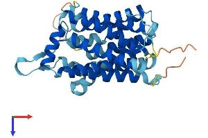 AlphaFold protein structure predicition of Human Recombinant SLC35B1 Protein, UniprotID P78383