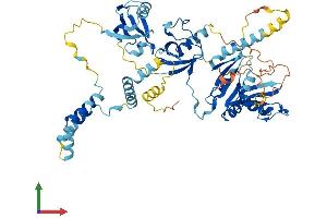AlphaFold protein structure predicition of Mouse Recombinant Mpp3 Protein, UniprotID O88910
