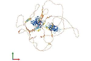 AlphaFold protein structure predicition of Human Recombinant NFATC4 Protein, UniprotID Q14934
