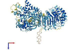 AlphaFold protein structure predicition of Mouse Recombinant Nlrc4 Protein, UniprotID Q3UP24