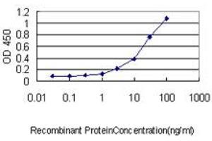 Detection limit for recombinant GST tagged UBL3 is approximately 1ng/ml as a capture antibody.