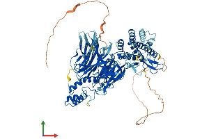AlphaFold protein structure predicition of Mouse Recombinant Gtf3c4 Protein, UniprotID Q8BMQ2