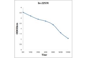 Antigen: 0. (EV71 VP1 anticorps)