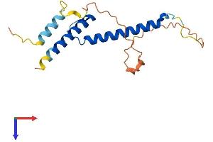 AlphaFold protein structure predicition of Human Recombinant FERD3L Protein, UniprotID Q96RJ6
