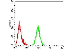 Flow cytometric analysis of Hela cells using TET2 mouse mAb (green) and negative control (red).