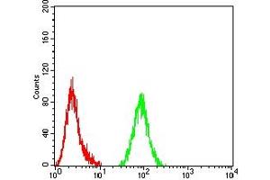 Flow cytometric analysis of Hela cells using TET2 mouse mAb (green) and negative control (red). (TET2 anticorps)