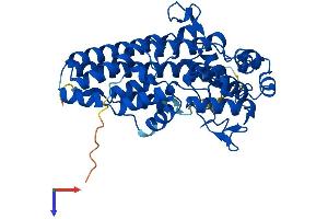 AlphaFold protein structure predicition of Mouse Recombinant Ido2 Protein, UniprotID Q8R0V5