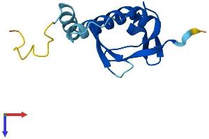 AlphaFold protein structure predicition of Mouse Recombinant Snrnp25 Protein, UniprotID Q8VIK1