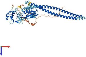 AlphaFold protein structure predicition of Human Recombinant PIK3R3 Protein, UniprotID Q92569