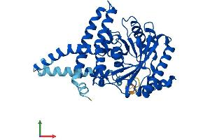 AlphaFold protein structure predicition of Mouse Recombinant Agpat4 Protein, UniprotID Q8K4X7