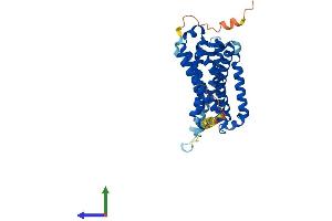 AlphaFold protein structure predicition of Mouse Recombinant Mtnr1a Protein, UniprotID Q61184