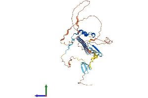 AlphaFold protein structure predicition of Human Recombinant SAV1 Protein, UniprotID Q9H4B6