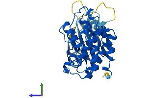 AlphaFold protein structure predicition of Human Recombinant CDK5 Protein, UniprotID Q00535