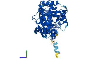 AlphaFold protein structure predicition of Mouse Recombinant Agpat5 Protein, UniprotID Q9D1E8