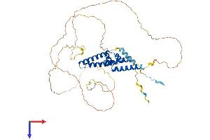 AlphaFold protein structure predicition of Mouse Recombinant Srfbp1 Protein, UniprotID Q9CZ91