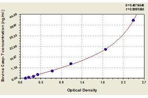Typical standard curve (Caspase 7 Kit ELISA)