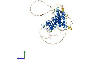 AlphaFold protein structure predicition of Human Recombinant PARPBP Protein, UniprotID Q9NWS1