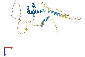 AlphaFold protein structure predicition of Mouse Recombinant Barx2 Protein, UniprotID O08686