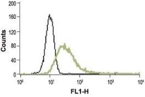 Cell surface detection of TRPV2 in intact living RBL cells: (black line) Unstained cells.
