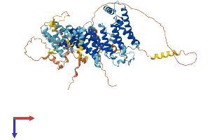 AlphaFold protein structure predicition of Mouse Recombinant Noc2l Protein, UniprotID Q9WV70
