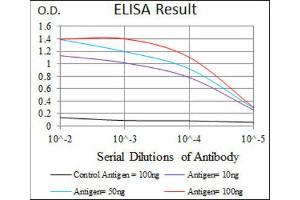 ELISA image for anti-Keratin 5 (KRT5) antibody (ABIN1845565) (Cytokeratin 5 anticorps)