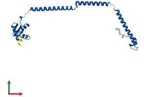 AlphaFold protein structure predicition of Mouse Recombinant Psmc3ip Protein, UniprotID O35047