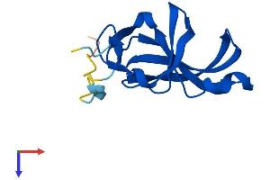 AlphaFold protein structure predicition of Human Recombinant YPEL2 Protein, UniprotID Q96QA6