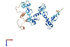 AlphaFold protein structure predicition of Human Recombinant ZNF625 Protein, UniprotID Q96I27