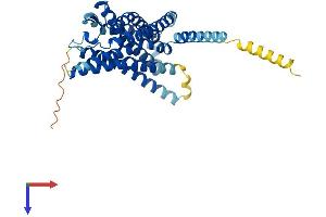 AlphaFold protein structure predicition of Mouse Recombinant Gpr183 Protein, UniprotID Q3U6B2