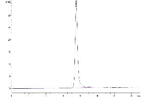 The purity of Human SPP1 is greater than 95 % as determined by SEC-HPLC.
