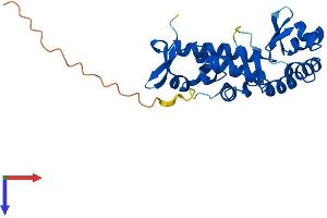 AlphaFold protein structure predicition of Mouse Recombinant Stk19 Protein, UniprotID Q9JHN8