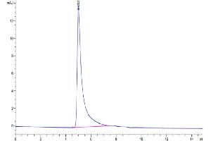 The purity of Human ITGAM&ITGB2 is greater than 95 % as determined by SEC-HPLC.