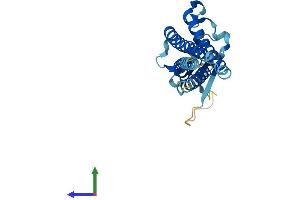 AlphaFold protein structure predicition of Human Recombinant CLDND1 Protein, UniprotID Q9NY35