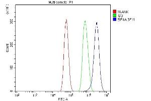 Flow Cytometry analysis of U87 cells using anti-EIF4A1 antibody (ABIN7603144). (EIF4A1 anticorps  (N-Term))