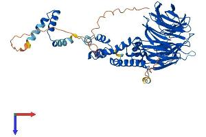 AlphaFold protein structure predicition of Human Recombinant FBXW11 Protein, UniprotID Q9UKB1