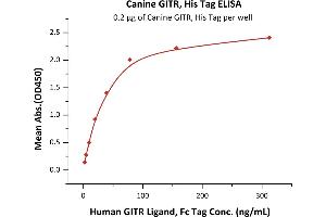 Immobilized Canine GITR, His Tag (ABIN6731277,ABIN6809886) at 2 μg/mL (100 μL/well) can bind Human GITR Ligand, Fc Tag (ABIN2181165,ABIN2181164) with a linear range of 2-40 ng/mL (QC tested).
