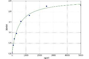 Poly (ADP-Ribose) Polymerase 1 (PARP1) ELISA Kit