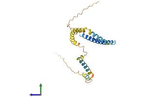 AlphaFold protein structure predicition of Mouse Recombinant Tpd52l1 Protein, UniprotID O54818