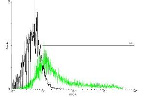 FACS analysis of negative control 293 cells (Black) and IL6R expressing 293 cells (Green) using IL6R purified MaxPab mouse polyclonal antibody.