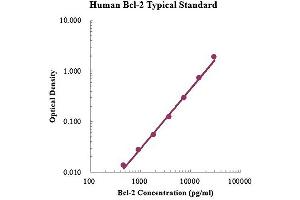 ELISA image for B-Cell CLL/lymphoma 2 (BCL2) ELISA Kit (ABIN4993797) (Bcl-2 Kit ELISA)